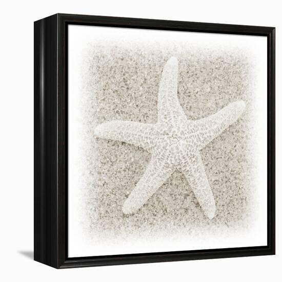 In the Sand V-Jim Christensen-Framed Premier Image Canvas