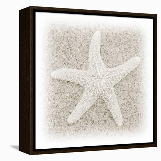 In the Sand V-Jim Christensen-Framed Premier Image Canvas