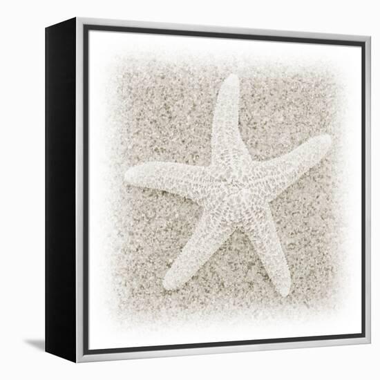 In the Sand V-Jim Christensen-Framed Premier Image Canvas