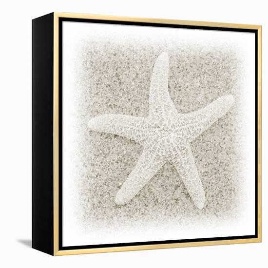 In the Sand V-Jim Christensen-Framed Premier Image Canvas