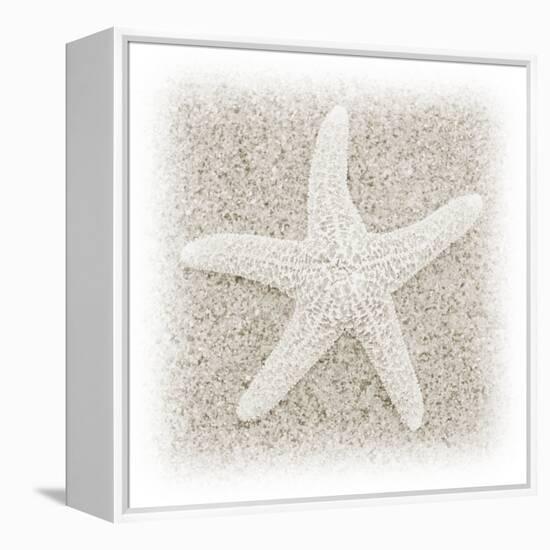 In the Sand V-Jim Christensen-Framed Premier Image Canvas