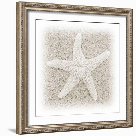 In the Sand V-Jim Christensen-Framed Photographic Print