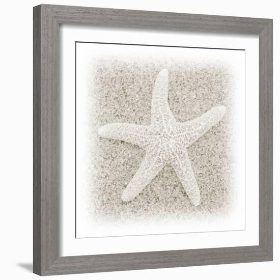 In the Sand V-Jim Christensen-Framed Photographic Print