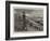 In the Sandhills of Jutland-null-Framed Giclee Print