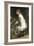 In the Secret Garden-Gustave Doyen-Framed Giclee Print