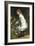 In the Secret Garden-Gustave Doyen-Framed Giclee Print