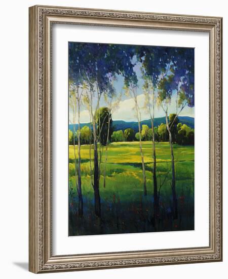 In the Shade-Tim O'toole-Framed Giclee Print