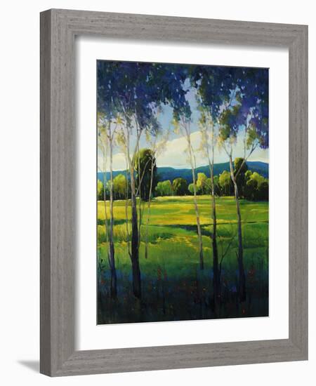 In the Shade-Tim O'toole-Framed Giclee Print