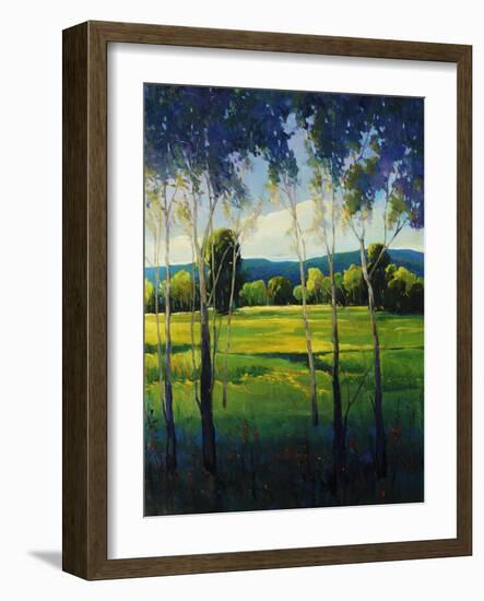 In the Shade-Tim O'toole-Framed Giclee Print