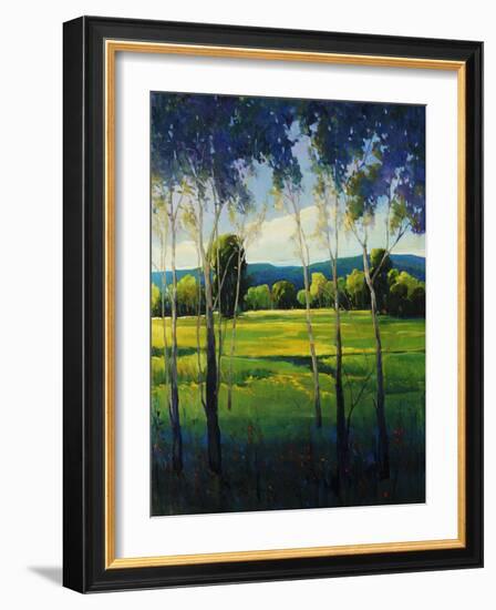 In the Shade-Tim O'toole-Framed Giclee Print