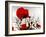 In the Shadow of the Poppies-Magda Indigo-Framed Photographic Print