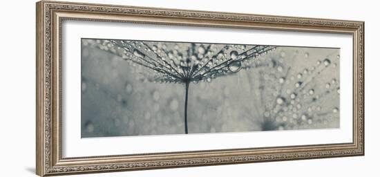 In the Shadows-Heidi Westum-Framed Photographic Print