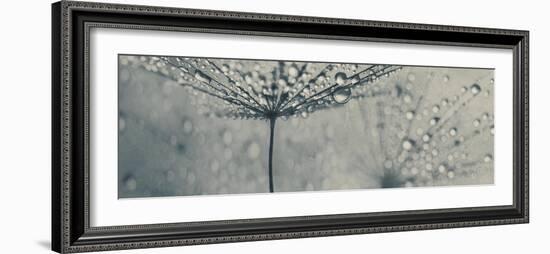 In the Shadows-Heidi Westum-Framed Photographic Print