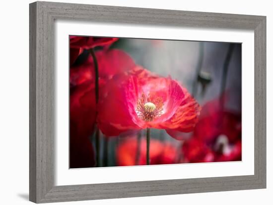 In The Shadows-Jacky Parker-Framed Giclee Print
