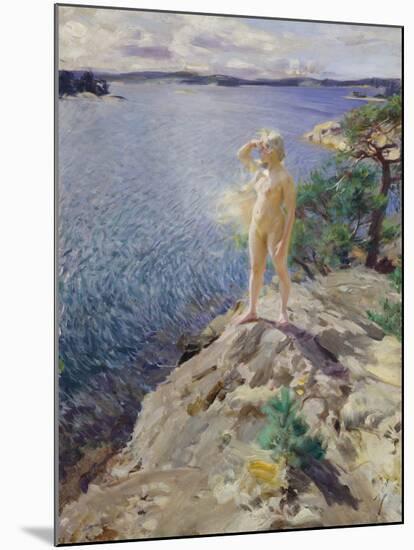 In the Skerries-Anders Zorn-Mounted Giclee Print