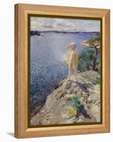 In the Skerries-Anders Leonard Zorn-Framed Premier Image Canvas