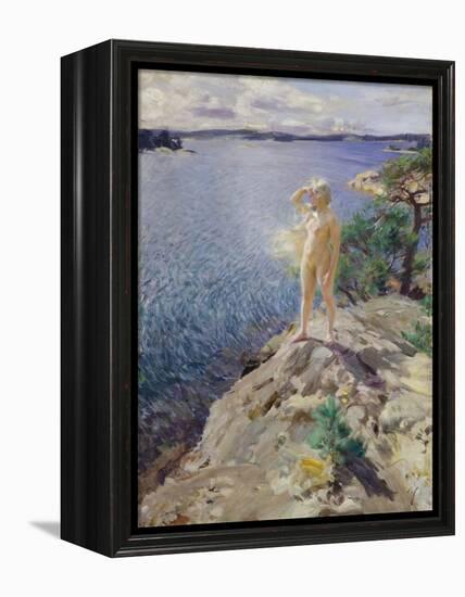 In the Skerries-Anders Leonard Zorn-Framed Premier Image Canvas