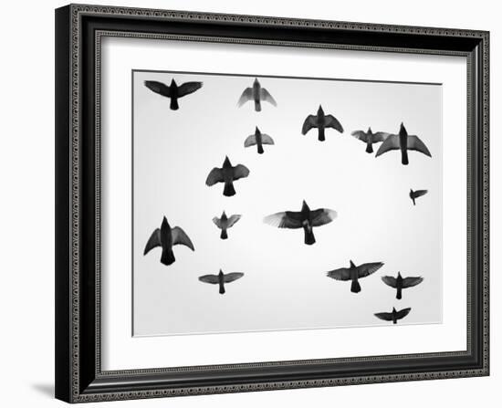 In the Skies I-Martin Henson-Framed Art Print