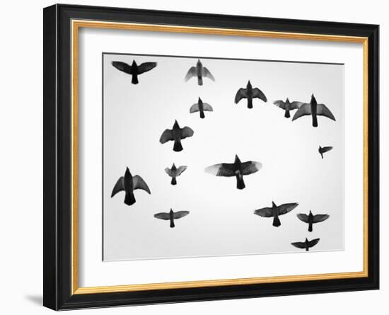 In the Skies I-Martin Henson-Framed Art Print