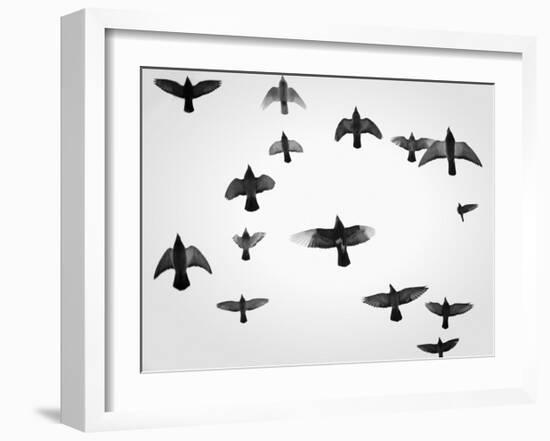 In the Skies I-Martin Henson-Framed Art Print
