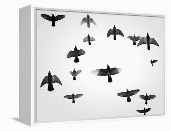 In the Skies I-Martin Henson-Framed Premier Image Canvas