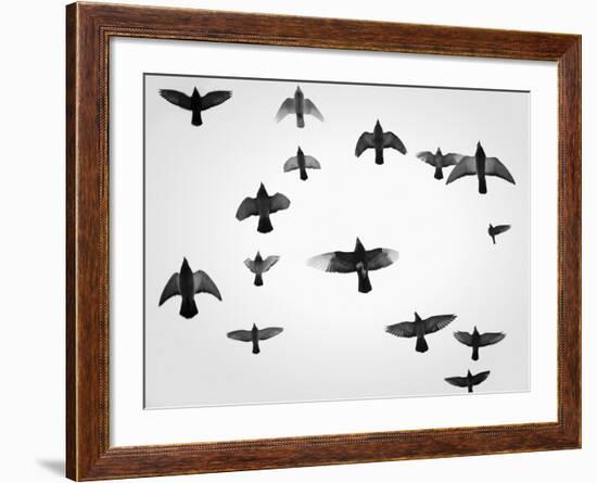 In the Skies I-Martin Henson-Framed Premium Photographic Print