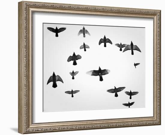 In the Skies I-Martin Henson-Framed Photographic Print