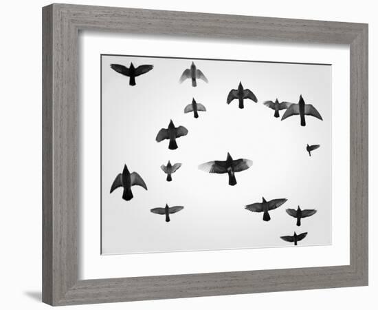 In the Skies I-Martin Henson-Framed Photographic Print