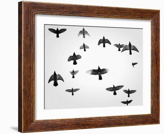 In the Skies I-Martin Henson-Framed Photographic Print