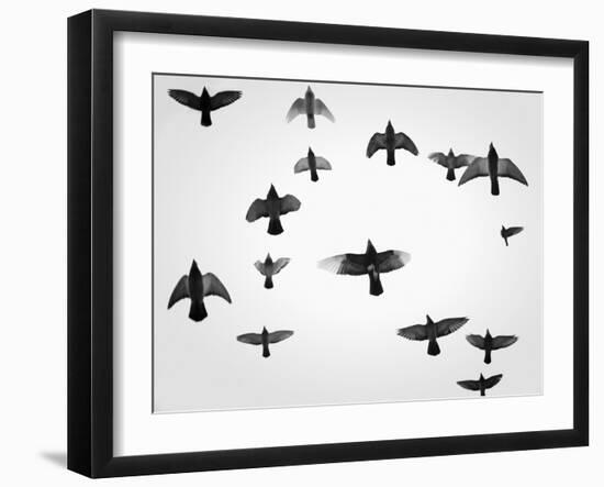 In the Skies I-Martin Henson-Framed Photographic Print