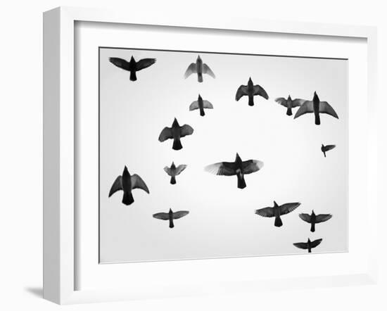 In the Skies I-Martin Henson-Framed Photographic Print