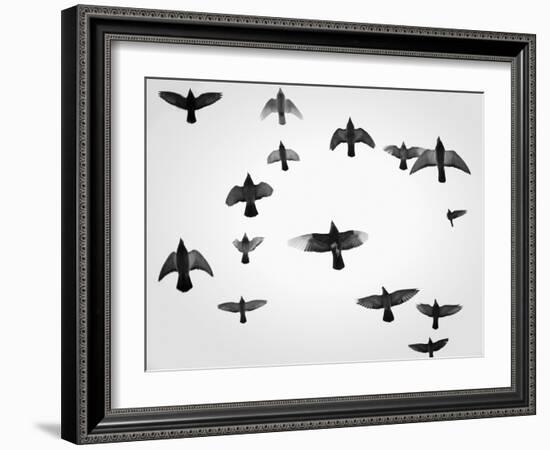 In the Skies I-Martin Henson-Framed Photographic Print