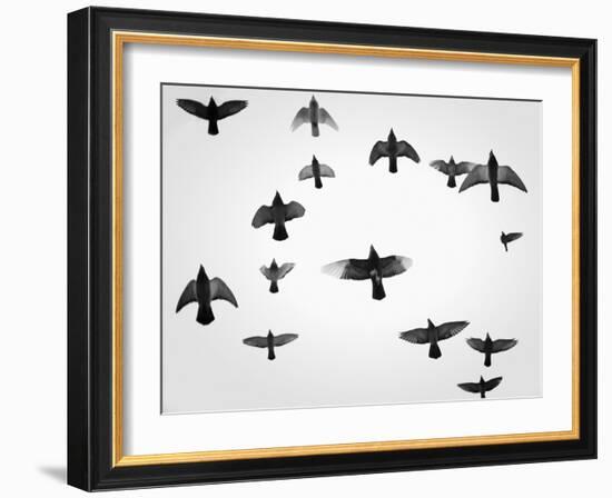 In the Skies I-Martin Henson-Framed Photographic Print