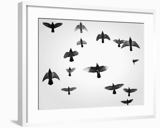 In the Skies I-Martin Henson-Framed Photographic Print