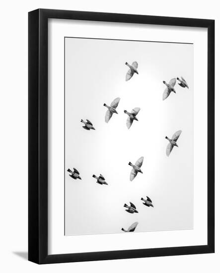 In the Sky 1-Design Fabrikken-Framed Photographic Print