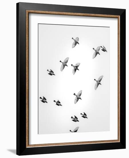 In the Sky 1-Design Fabrikken-Framed Photographic Print