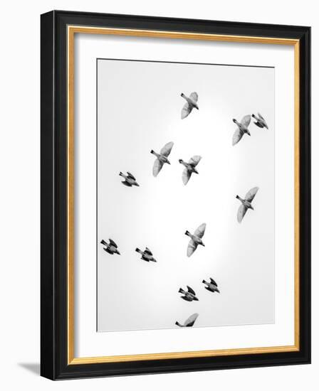 In the Sky 1-Design Fabrikken-Framed Photographic Print