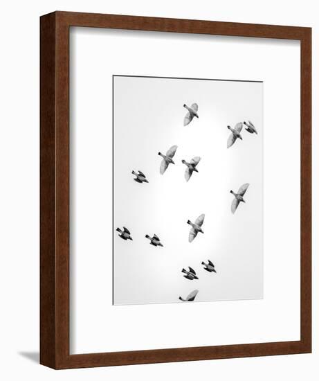 In the Sky 1-Design Fabrikken-Framed Photographic Print