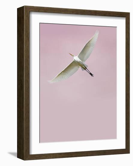 In the Sky 2-Design Fabrikken-Framed Photographic Print