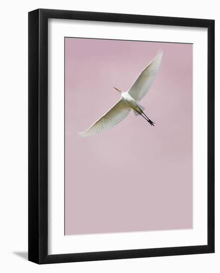 In the Sky 2-Design Fabrikken-Framed Photographic Print