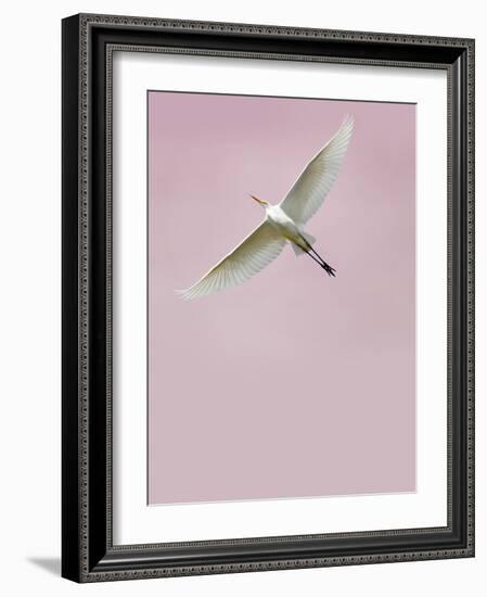 In the Sky 2-Design Fabrikken-Framed Photographic Print