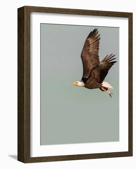 In the Sky 3-Design Fabrikken-Framed Photographic Print