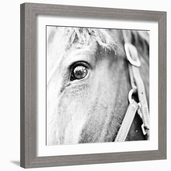 In the Stable I-Susan Bryant-Framed Photographic Print