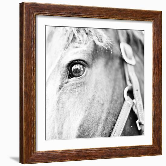 In the Stable I-Susan Bryant-Framed Photographic Print