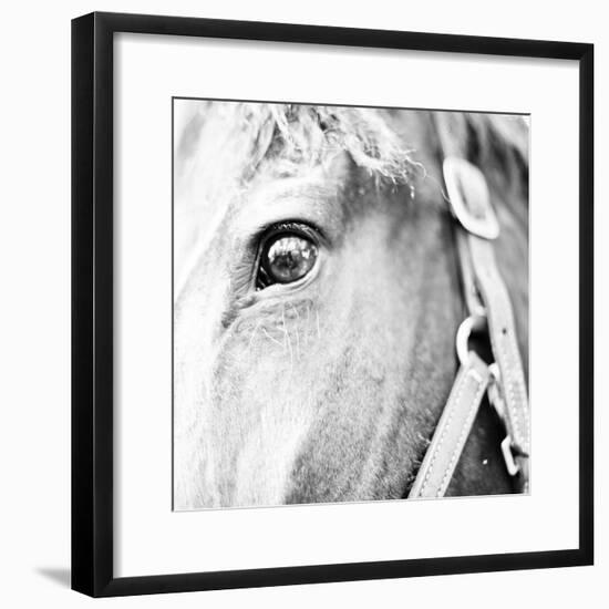 In the Stable I-Susan Bryant-Framed Photographic Print