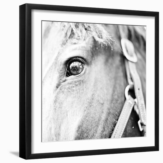 In the Stable I-Susan Bryant-Framed Photographic Print