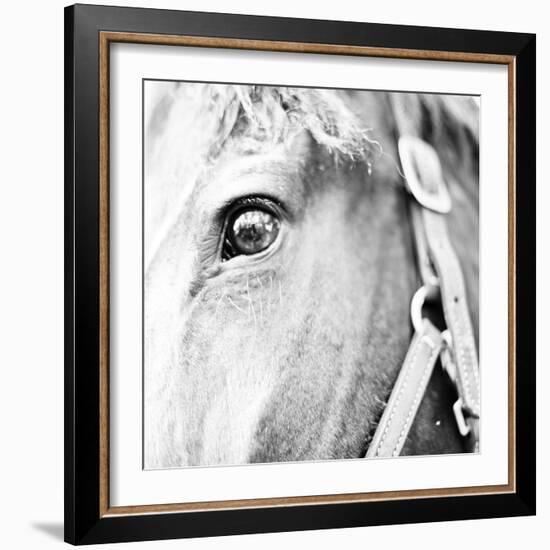 In the Stable I-Susan Bryant-Framed Photographic Print