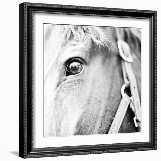 In the Stable I-Susan Bryant-Framed Photographic Print