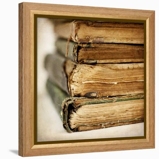 In the Stacks-Jessica Rogers-Framed Premier Image Canvas