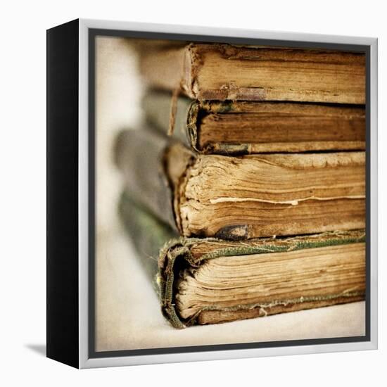 In the Stacks-Jessica Rogers-Framed Premier Image Canvas